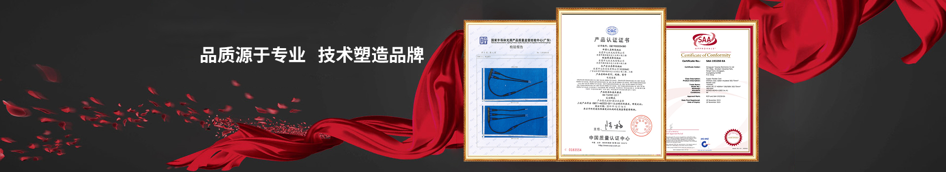 CCC插头电源线